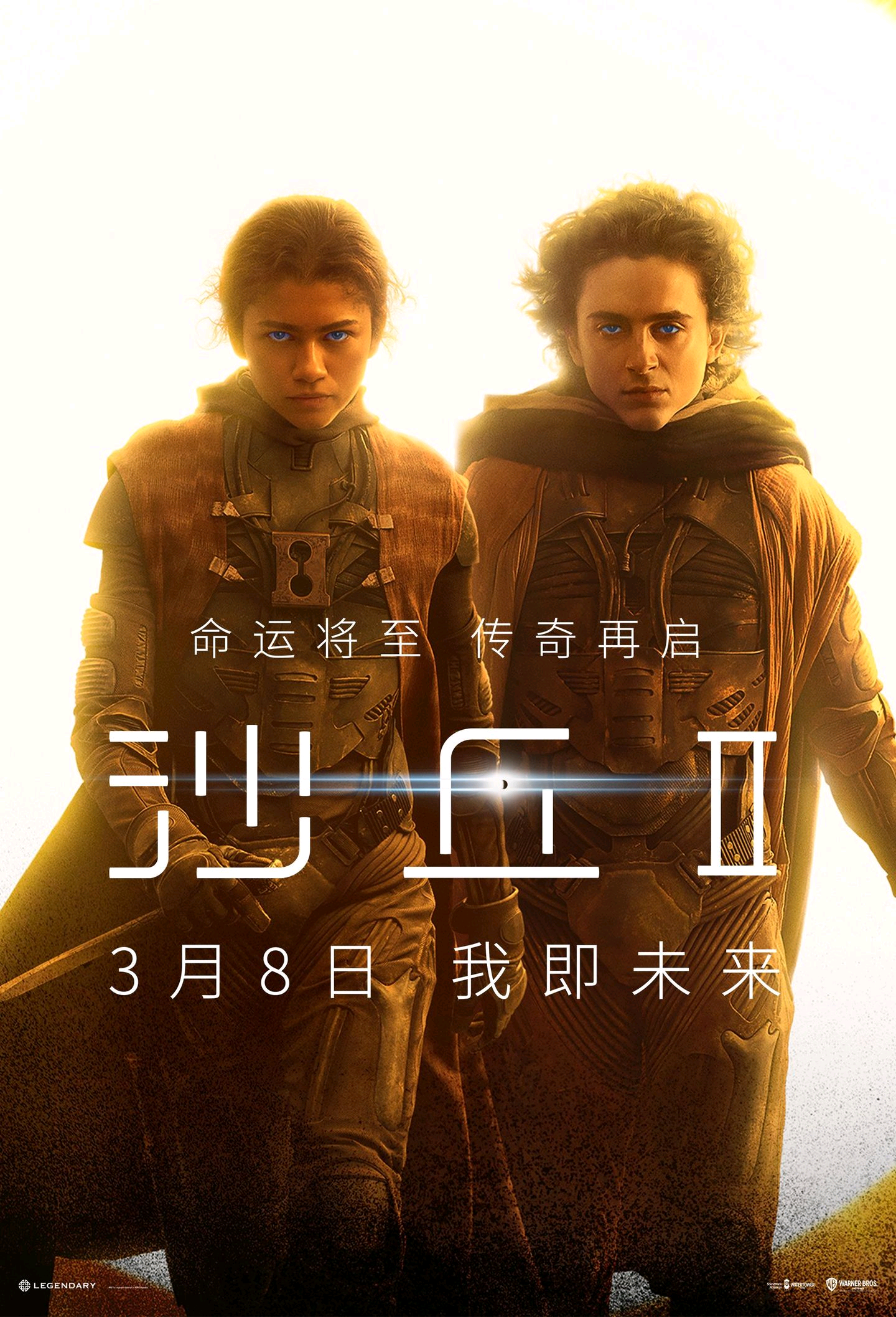 开云全站-“荒漠之王：金色沙丘上的生死追逐”的简单介绍