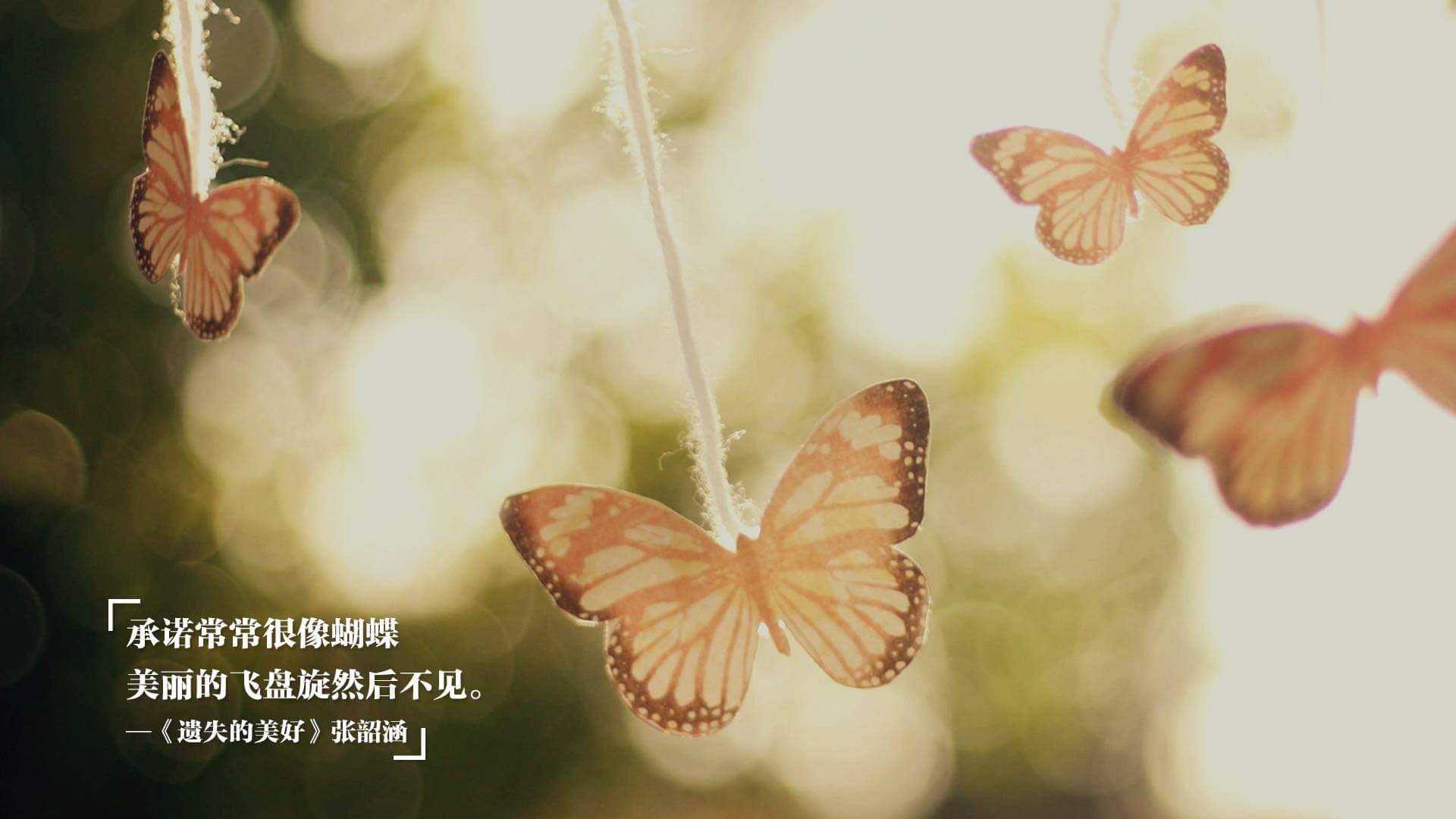 Kaiyun APP-WRC希腊站：沙土飞扬，赛事紧张激烈，希腊联赛ds