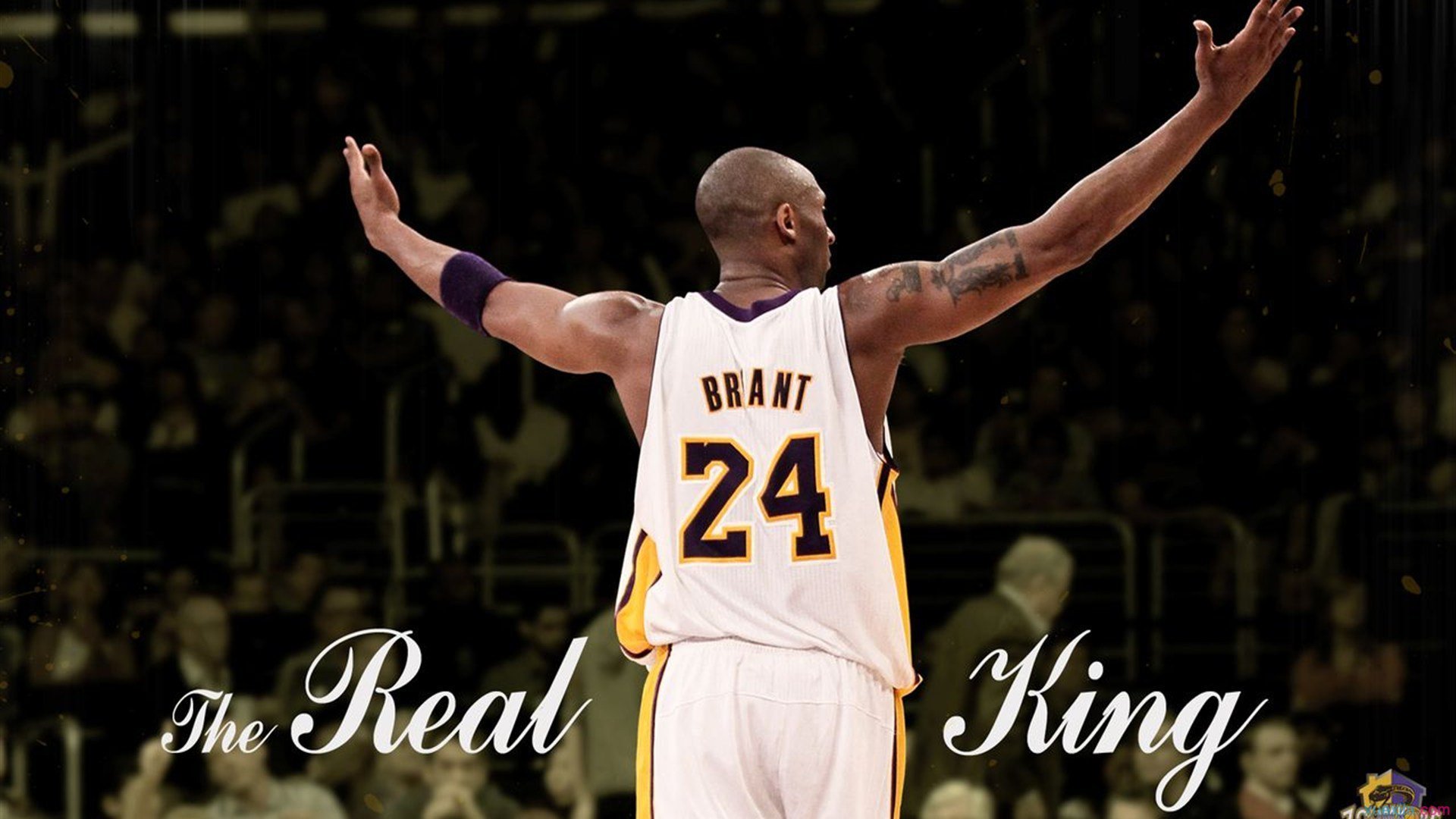 _骑士队新秀崭露头角,未来无限可能_,骑士队员最新名单