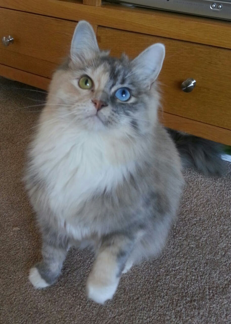 开云体育视频直播-“法甲豪门迎来关键战，胜者稳步向前”，法甲豪门球队排名前十