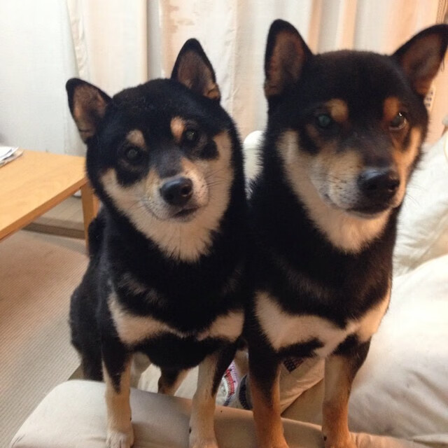 开云官网首页-大牌球星的欧冠“巅峰时刻”回顾，欧冠冠军排名球队排名