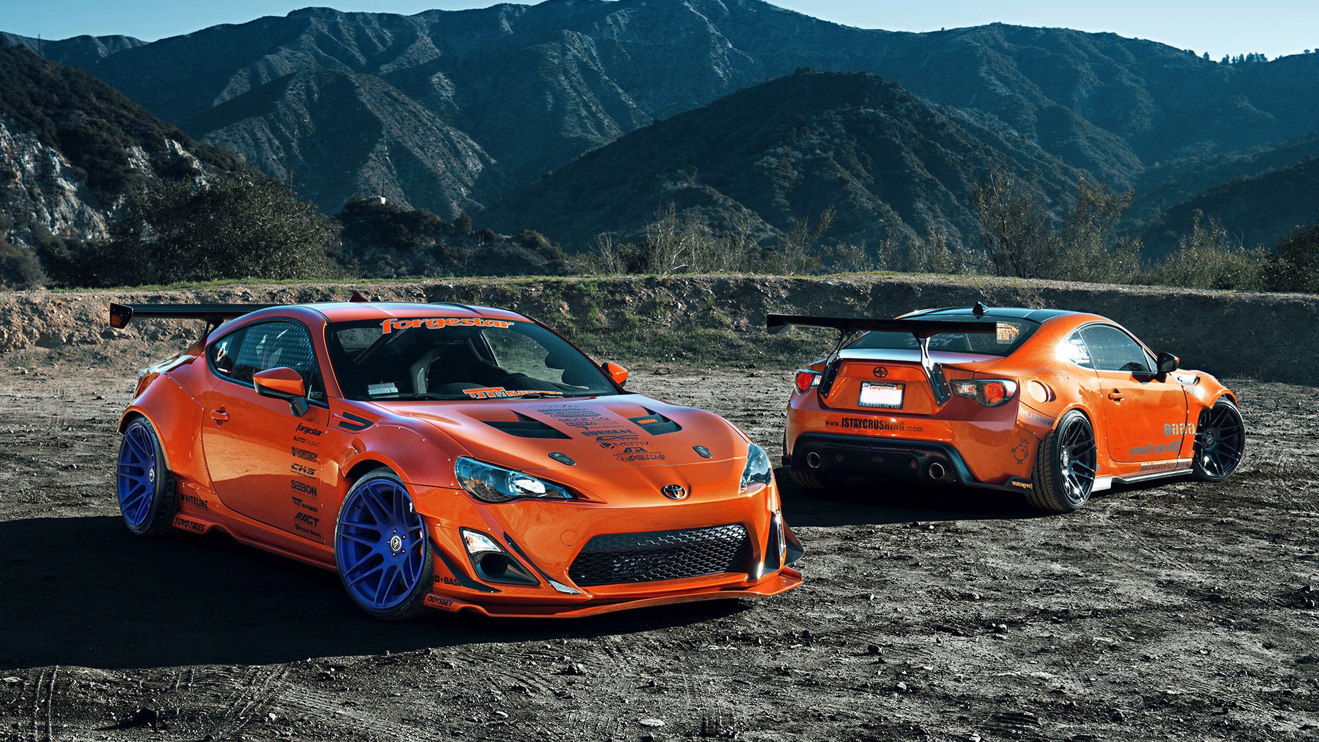 开云官网APP下载-西班牙马术协会推出马术文化推广计划，提升马术运动在国内，西班牙马种