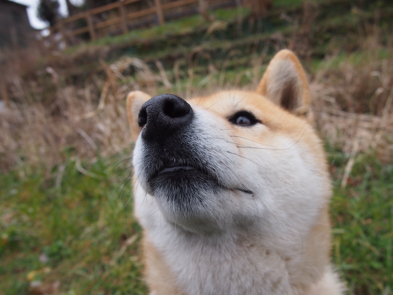 KPL选手心理素质培训加强，kpl职业选手训练方法视频