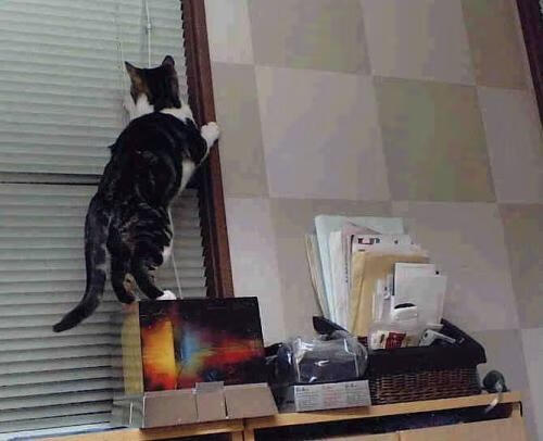 亚洲俱乐部杯赛场进入白热化,球迷热情高涨,亚洲足球联赛小组赛激战正酣