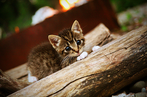 开云·体育官网-亚洲国家队参加世界杯，备战策略谨慎，亚洲入围世界杯