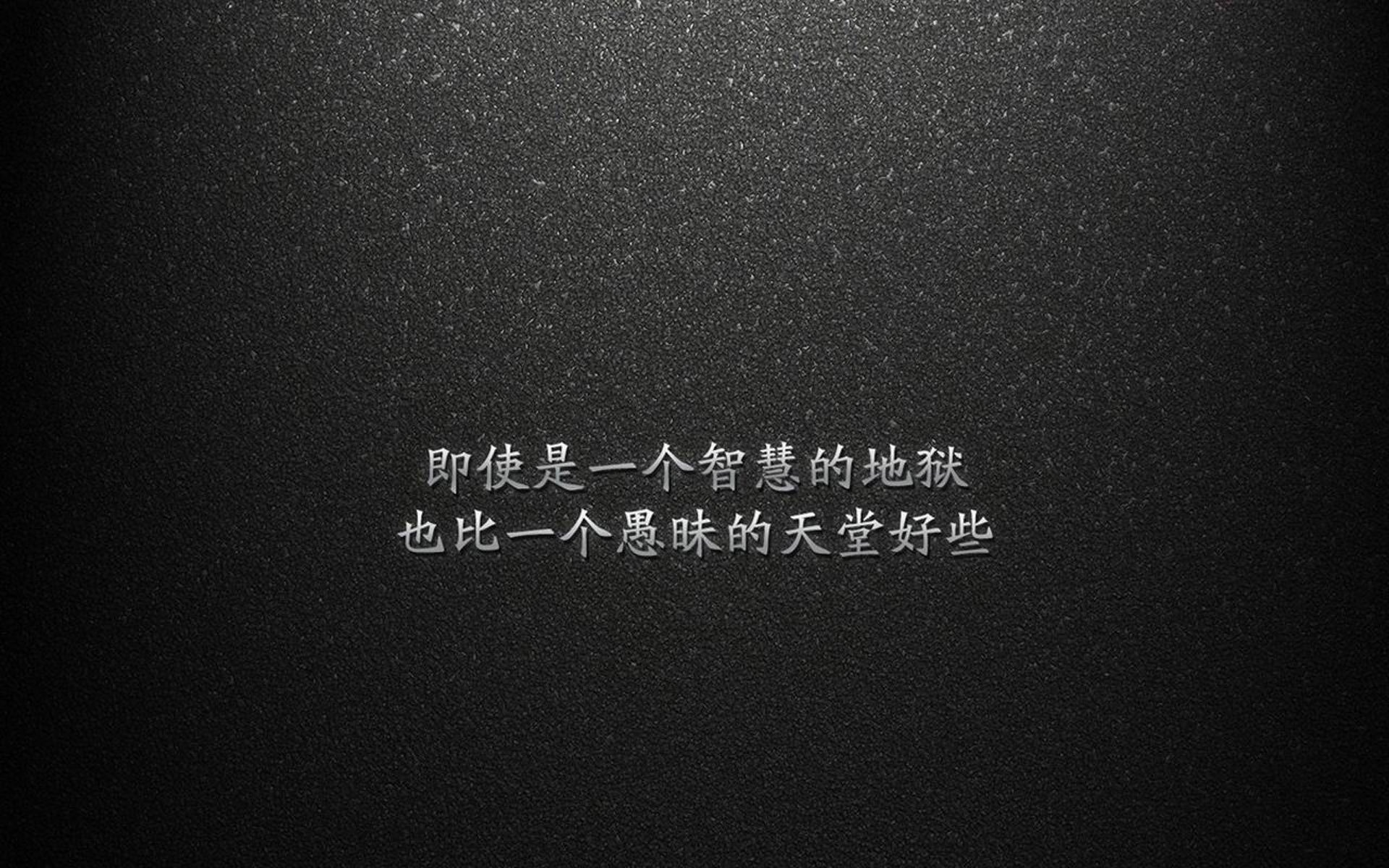 激烈马术冠军争夺战打响,马术 冠军