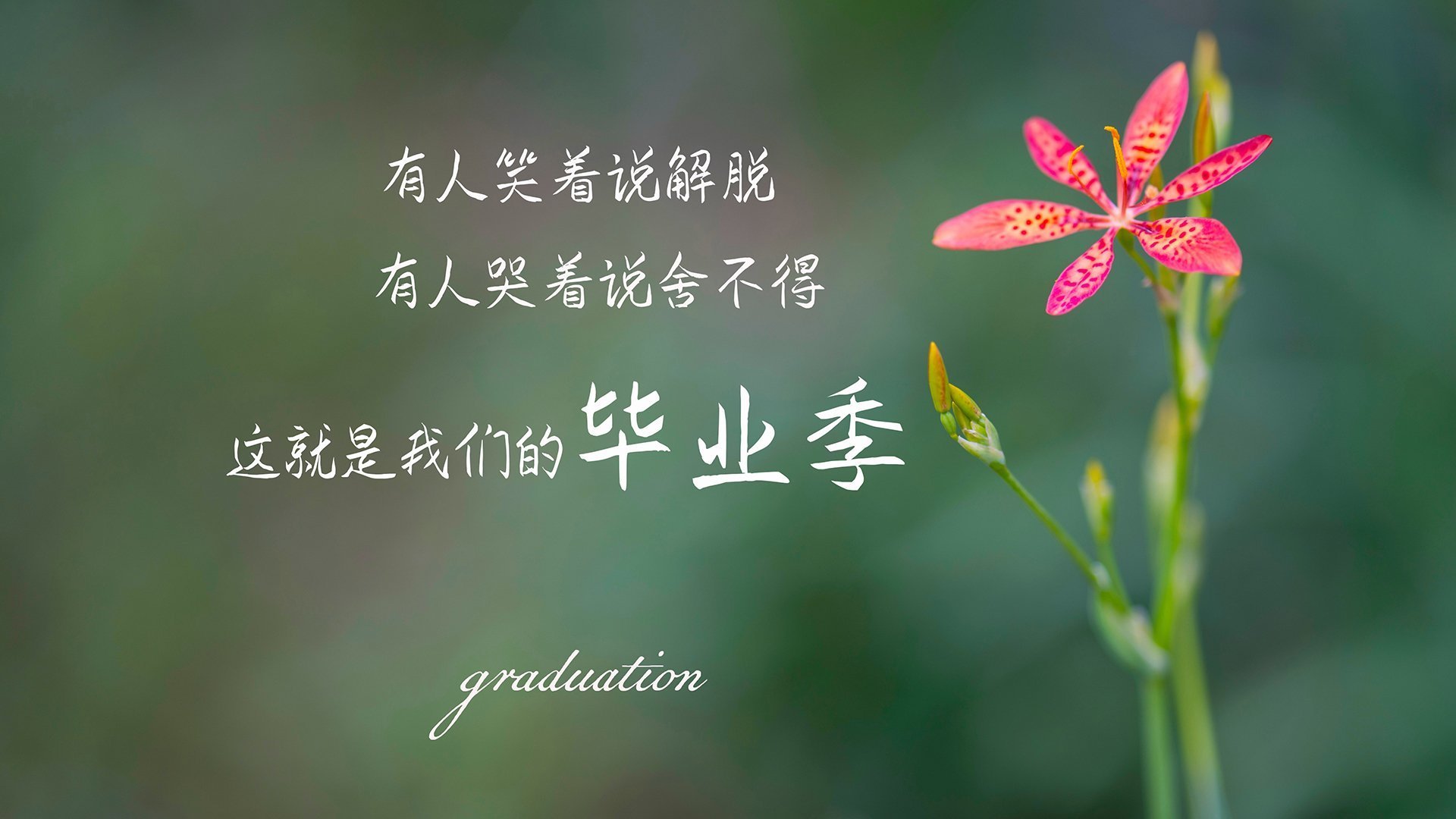 kaiyun.com-体育赛事多渠道传播，体育赛事多渠道传播的原因