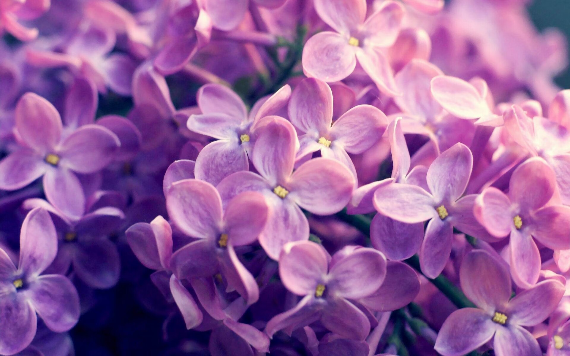 开云kaiyun-五大联赛中场争夺激烈程度是否决定观赏性高低，五大联赛场地大小