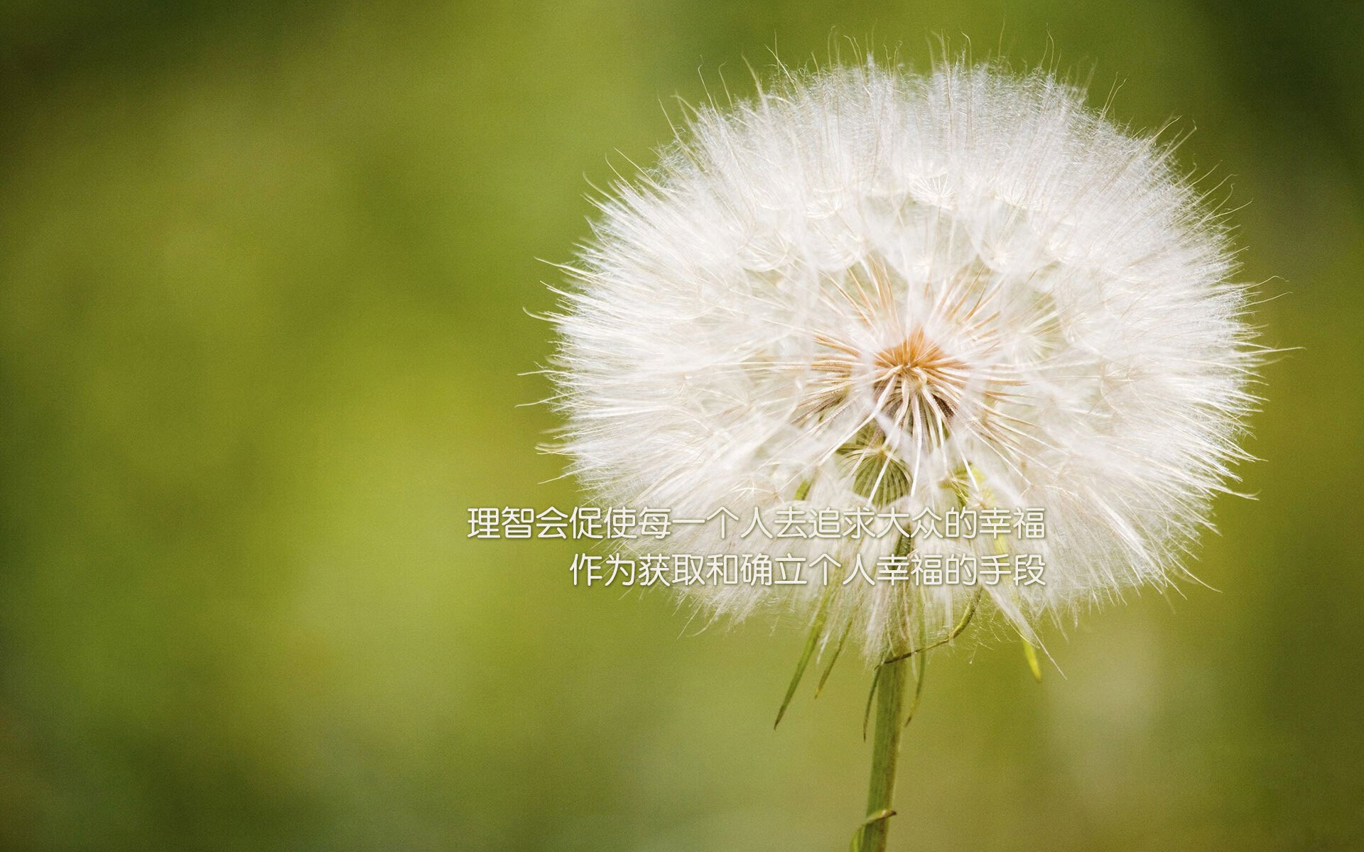 切尔西战术压制PSG，控场表现卓越，slp切尔西