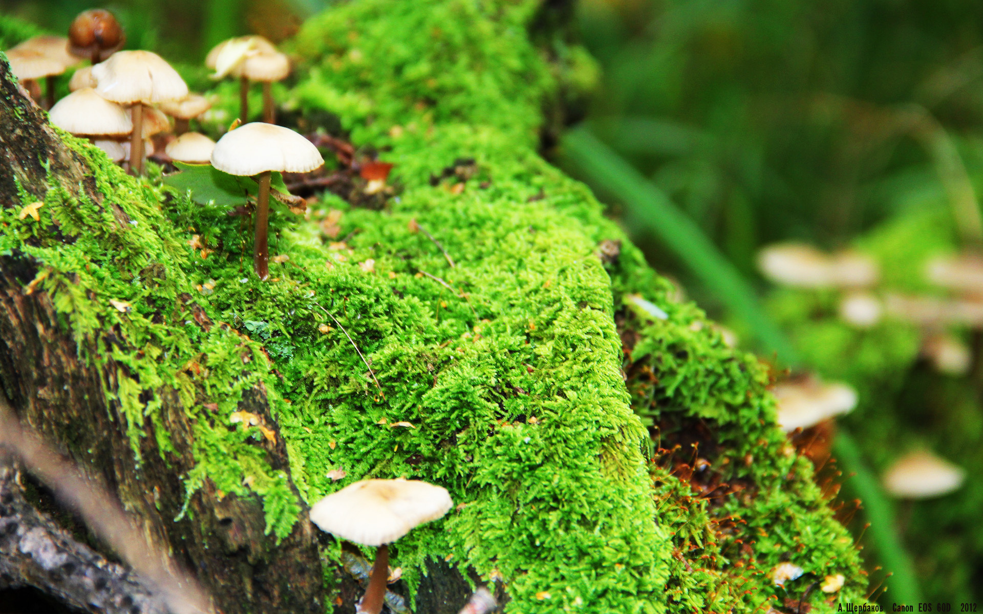 基层足球俱乐部资金短缺,基层足球俱乐部资金短缺的原因