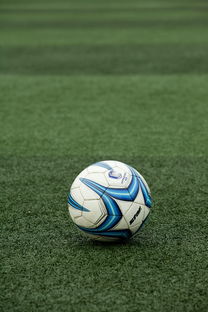 kaiyun官方入口登录-校园足球联赛启动基层青训营选拔工作展开，2020足球青训选拔