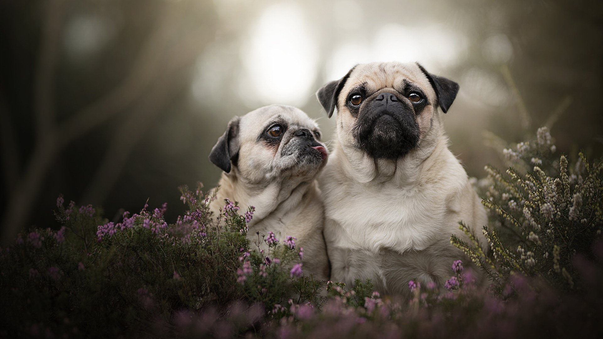 KAIYUNAPP-海湾者年轻球员潜力无限，未来可期，看一下海湾