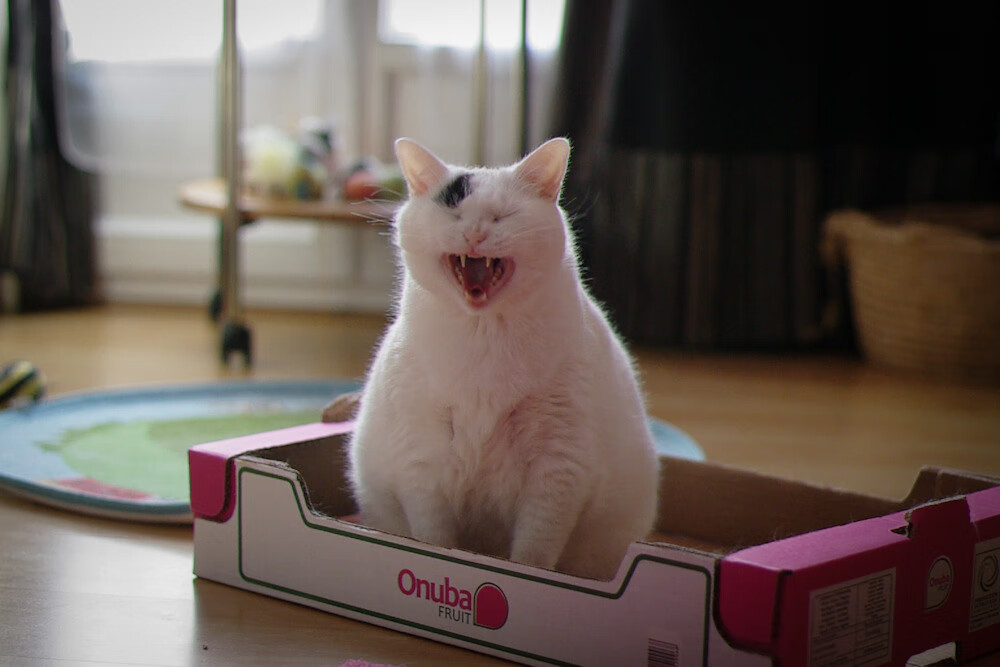 球员伤病频发恢复机制建设刻不容缓,球员伤病对球员的影响