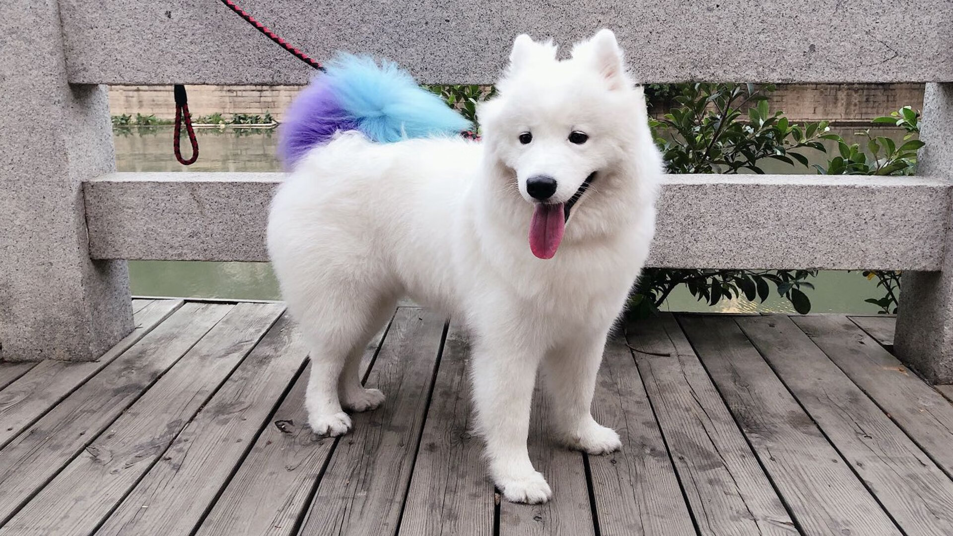 kaiyun官方入口登录-马赛以高压反抢主导比赛空间使用