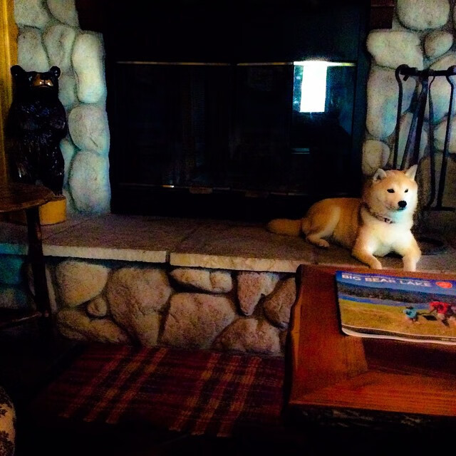 女篮青年队设置技能专项日提升攻防专注度,女篮球队训练计划