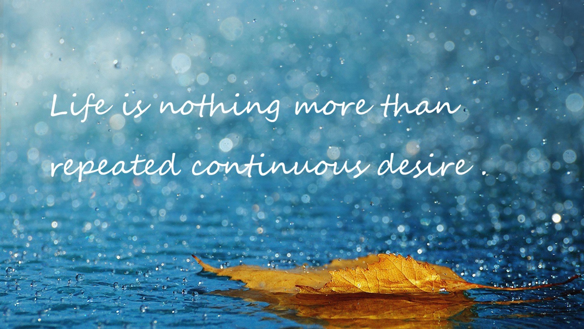 马克·阿特金森:突破与防守反击的完美结合,为南非队赢得关键胜利